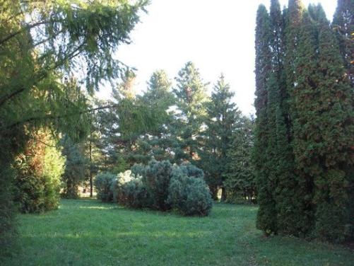 Botanical garden at the BottomNovgorod