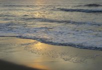 شاطئ أدلر: نظرة عامة ، وصف ، استعراض