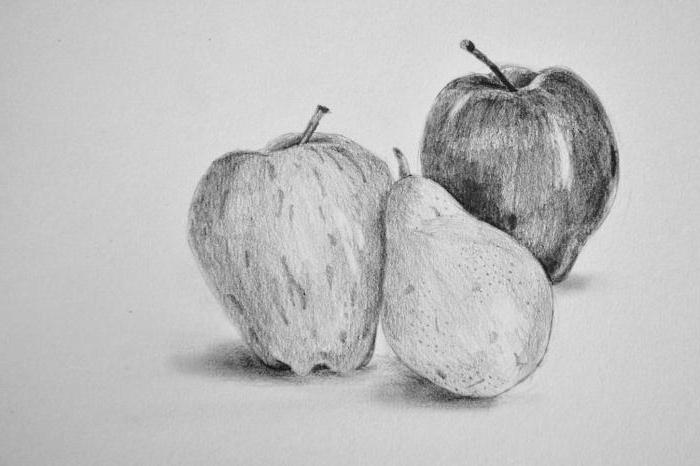 still life Apple and pear