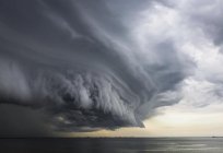 Nedir fırtına - özellikler hava bulgular.