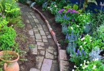 Landscaping a narrow area (photo)