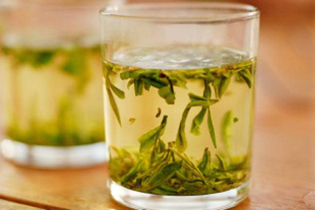 enthält, ob Koffein im grünen Tee