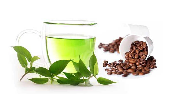 how many caffeine in green tea