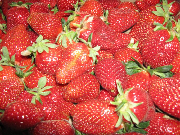 Strawberry Marschall Beschreibung Bewertungen
