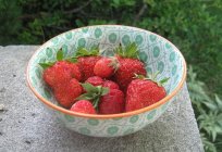 Erdbeeren Marschall: die Beschreibung der Sorte, Bewertungen