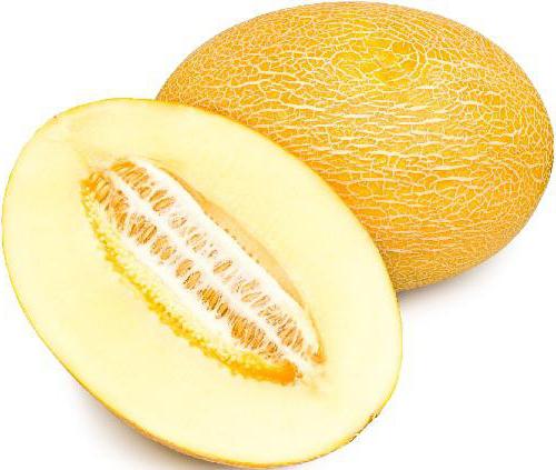 Melone гуляби wie wähle