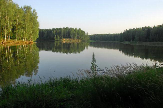 озеро лісове сергієв посад