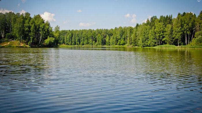 florestas lago de sergiev posad como chegar