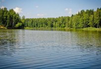 森林湖在塞尔吉耶夫：捕鱼、海滩度假，如何得到