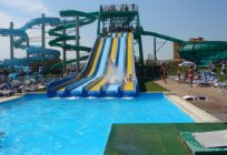 Water Park 