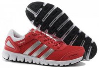 Spor ayakkabı Adidas Climacool spor ayakkabı, bir zevk getiriyor