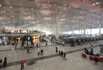 机场北京的数量、特征，交通运输