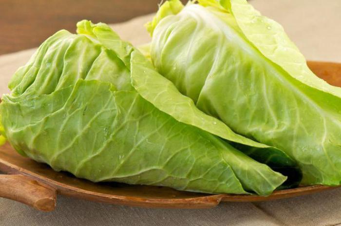 how to wrap cabbage rolls photo