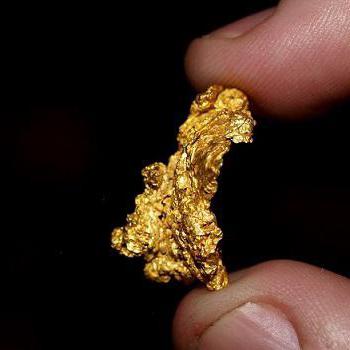 tipo de detector de metais escolher para a busca do ouro