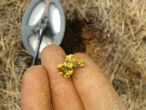 un detector de metales para la búsqueda de oro