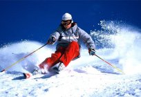 Wie richtig schmieren Kunststoff-Ski: Tipps und Tricks