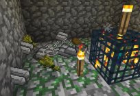 Minecraft: özel bir bölge. Nasıl sil ızgara привата?