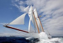 Sailing ships, their types and characteristics. The sailing yacht. Photo