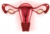 Bimanual pesquisa em ginecologia: indicações, características de realizar o procedimento