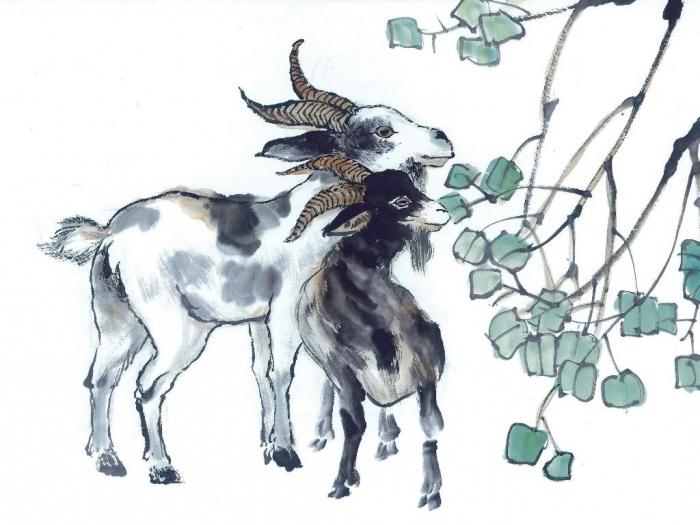 goat horoscope compatibility