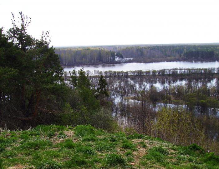 the river Vetluga photo