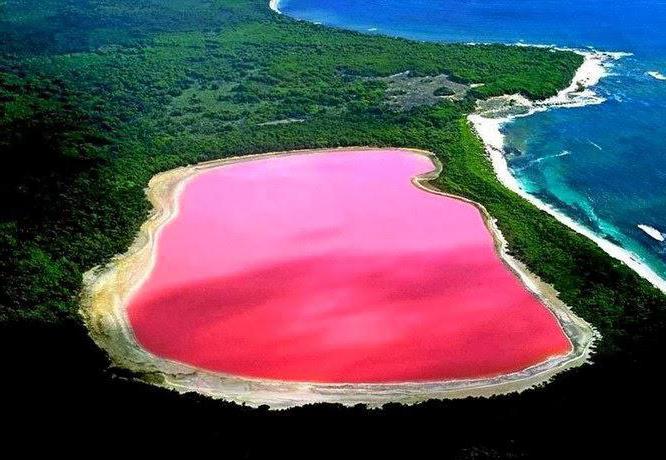 オーストラリア州所をピンク色の湖