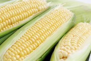 cómo recargar kurt maíz