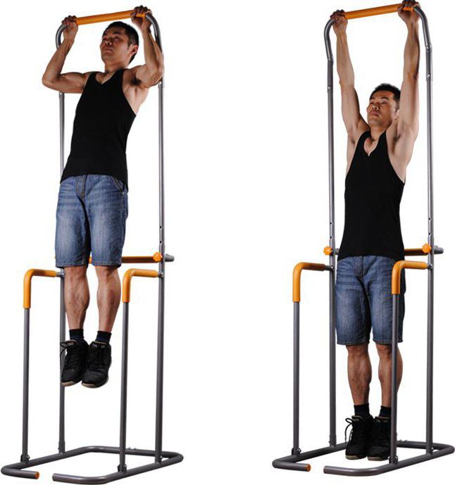 system of pullings up on a horizontal bar for the month