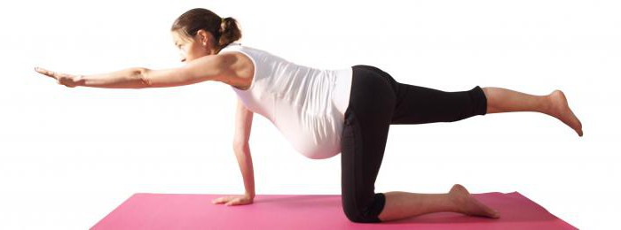 exercise for pregnant women at the gym