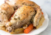 How to roast chicken with vegetables? Recipes with photos