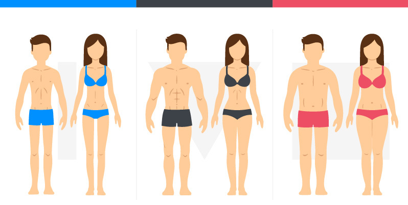 Körpertypen