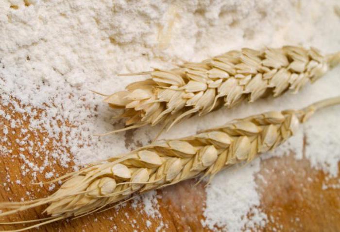 suave variedades de trigo