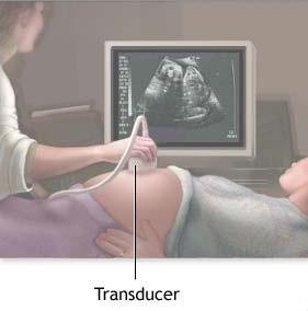 first ultrasound at what time