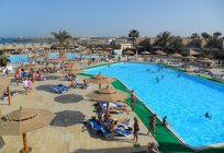 Das Hotel «Aladdin» (Hurghada, ägypten): das Foto und die Rezensionen der Touristen