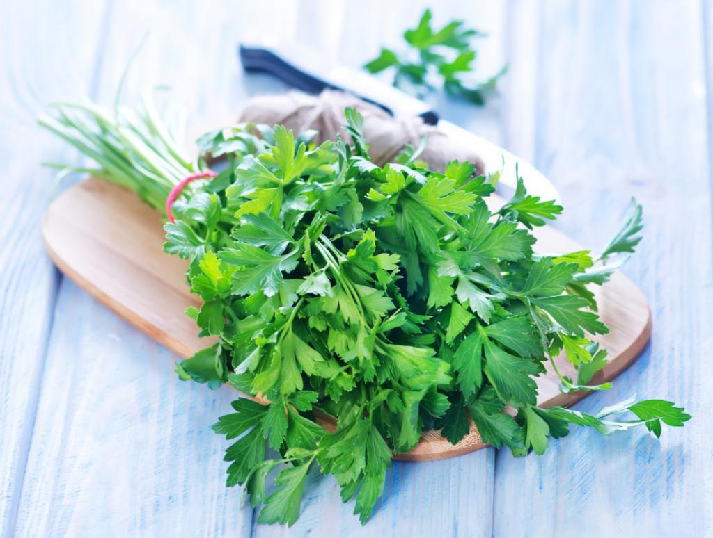 using a decoction of parsley