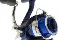 The best reel for spinning: rating