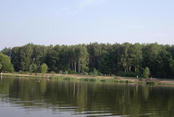 Gagarinsky园里的照片