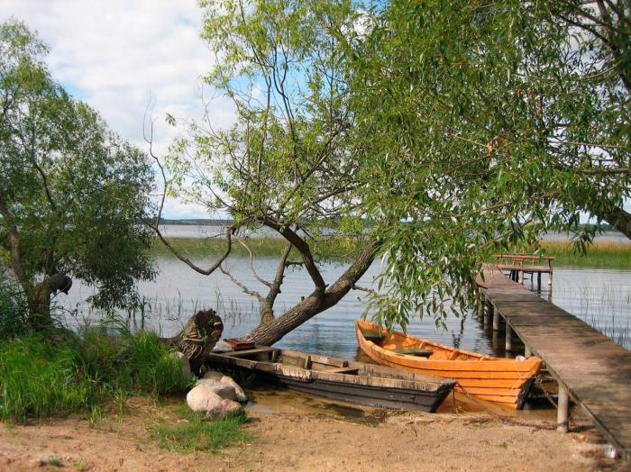 国家公园Braslav湖泊中的照片