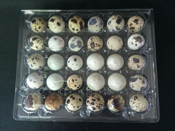 packaging for quail eggs