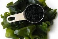 Seaweed wakame: a Japanese-style dinner