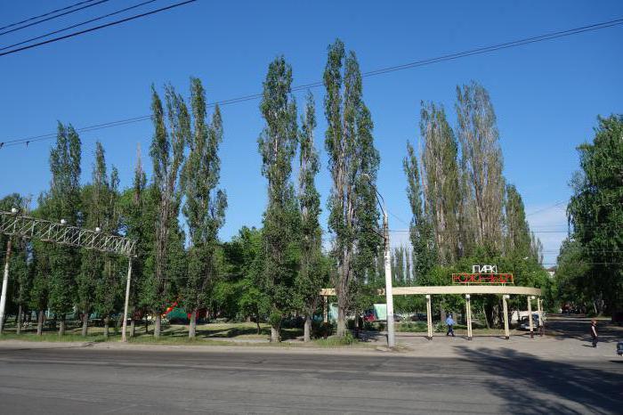 voronezh área левобережный