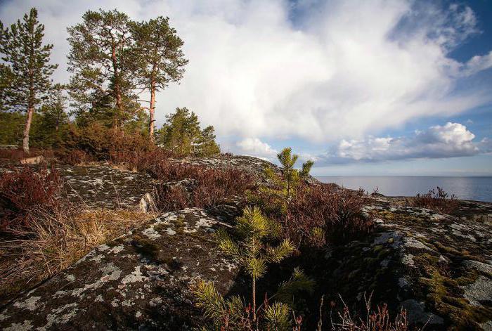Wälder der Republik Karelien