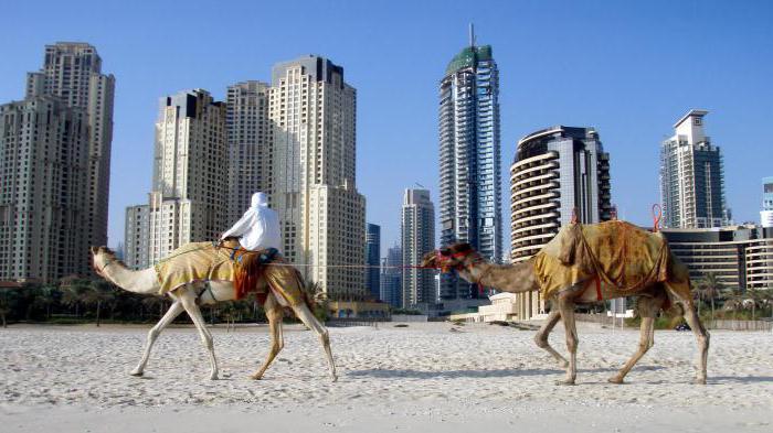 the population of Abu Dhabi