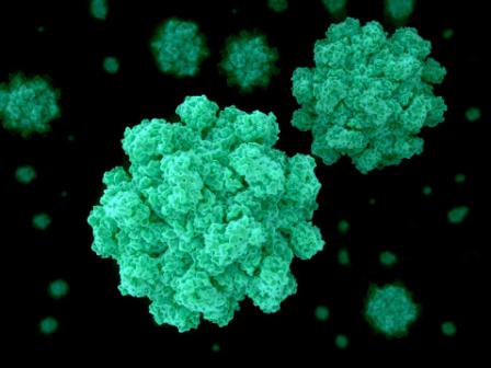 norovirus infection what is it