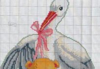 Metric for newborns: the scheme of embroidery. How to embroider metrics for newborns?