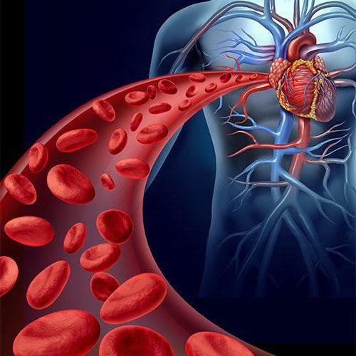 血管造影是什么