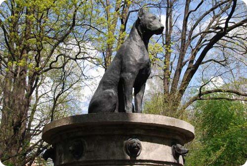köpek Anıt Pavlova