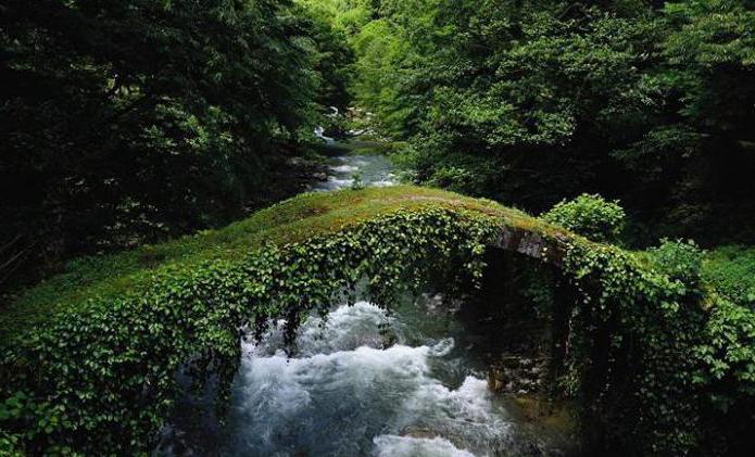  Mtirala national Park, Georgia