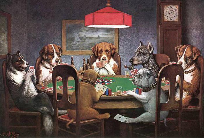 psy grają w pokera obraz
