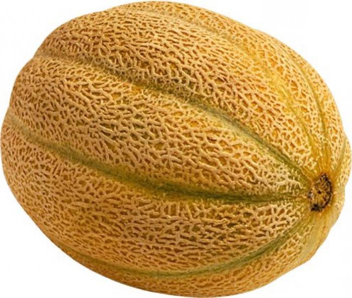 Melone Vietnamesisch